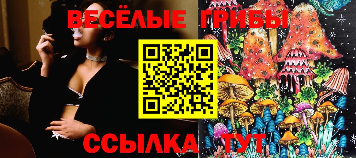Псилоцибиновые грибы Cubensis Пугачёв